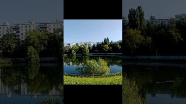 Лето пруд Анапа г Москва ул Сталеваров 4 корпус 2.mp4
