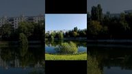 Лето пруд Анапа г Москва ул Сталеваров 4 корпус 2.mp4
