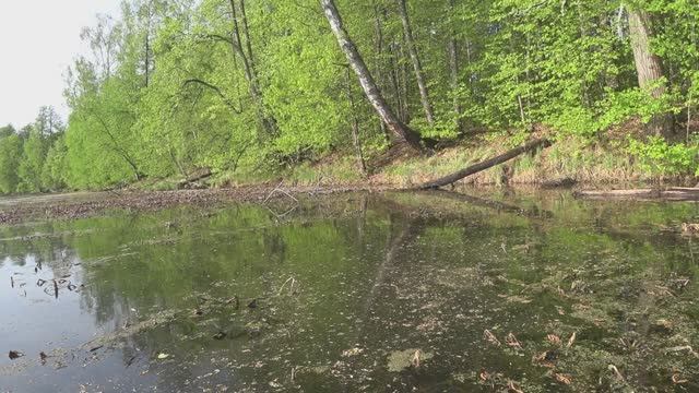 Ловля ротана с лодки в мае на удочку с боковым кивком.