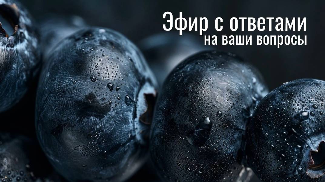 Эфир с мини-разборами (27.12.2024)