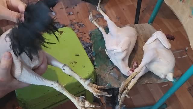 ЖИЗНЬ В ДЕРЕВНЕ , РАБОЧИЕ БУДНИ