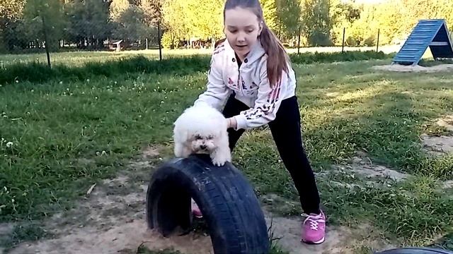 Не один дома: Ярослава и Дарси