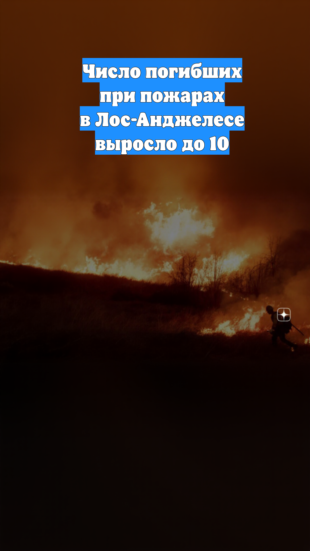 Число погибших при пожарах в Лос-Анджелесе выросло до 10