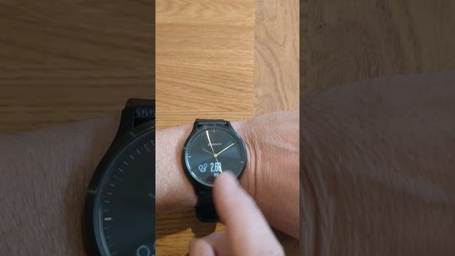 Garmin Vivomove HR watch overview