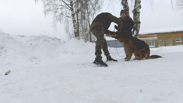 Защитно-караульная служба