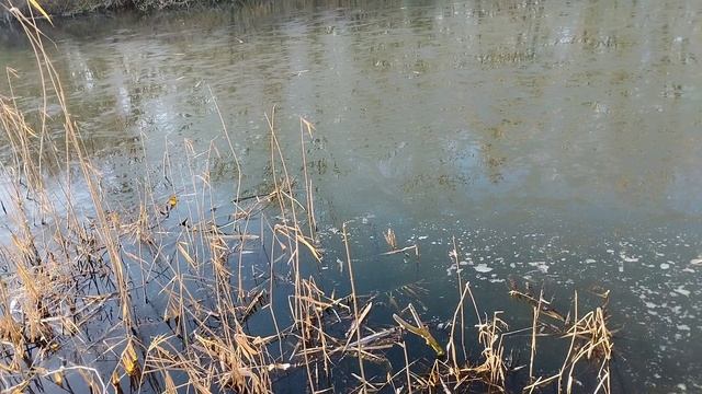 первый раз в этом году на речке