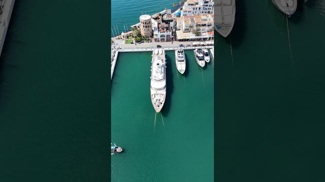 12374434_2160_3840_30fps