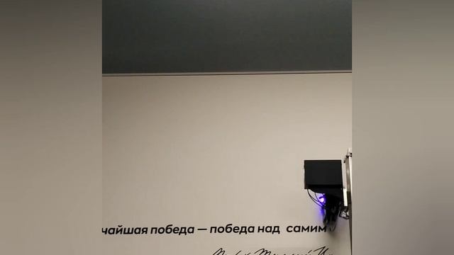 Оформление частного спортивного зала Шмидт