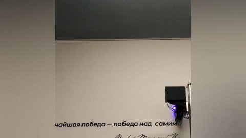 Оформление частного спортивного зала Шмидт