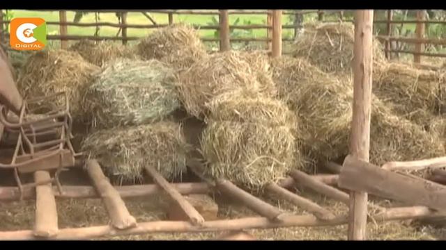 Smart farm: Fodder conservation