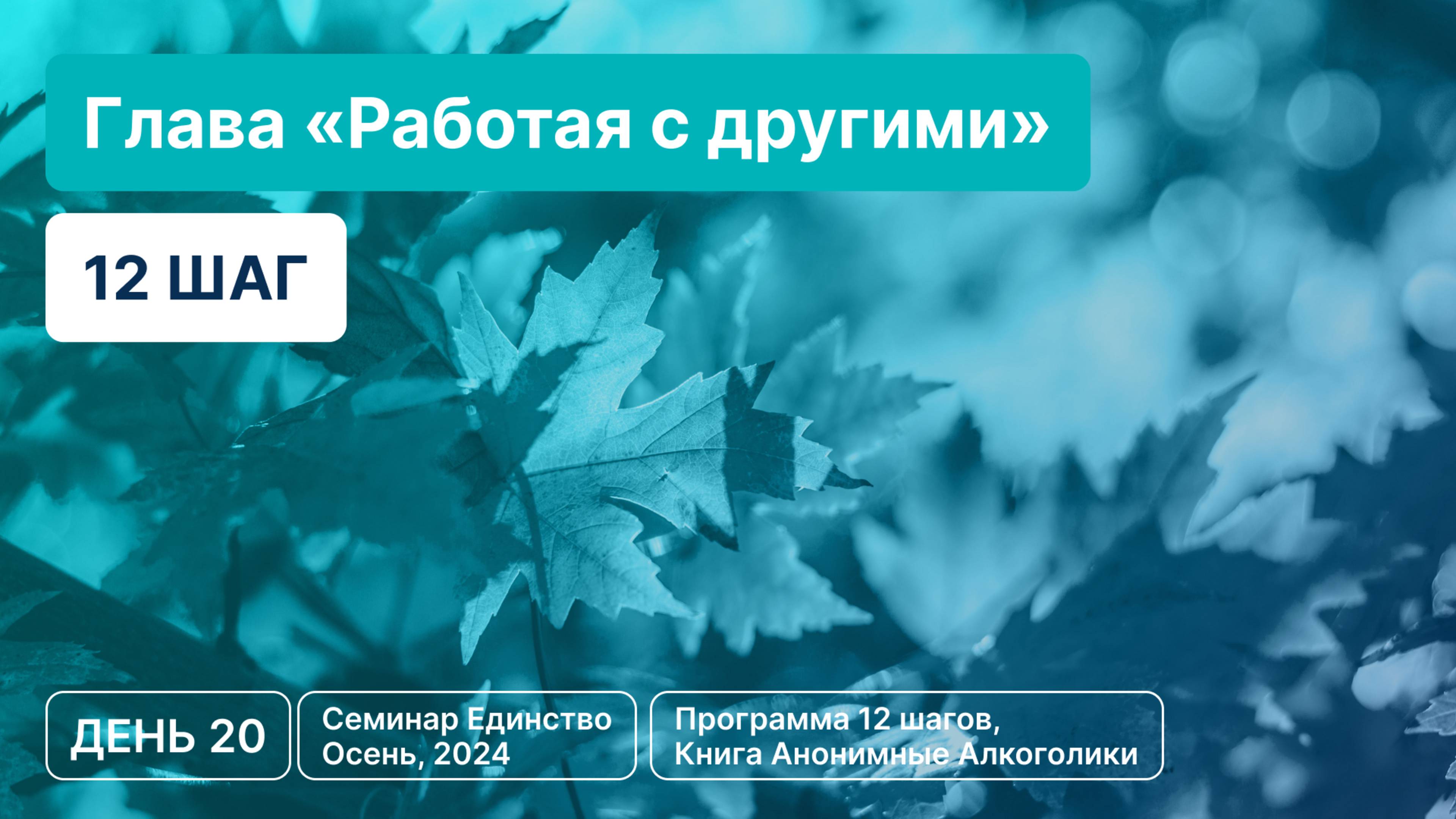 День 20 - Глава «Работая с другими» (12 шаг)