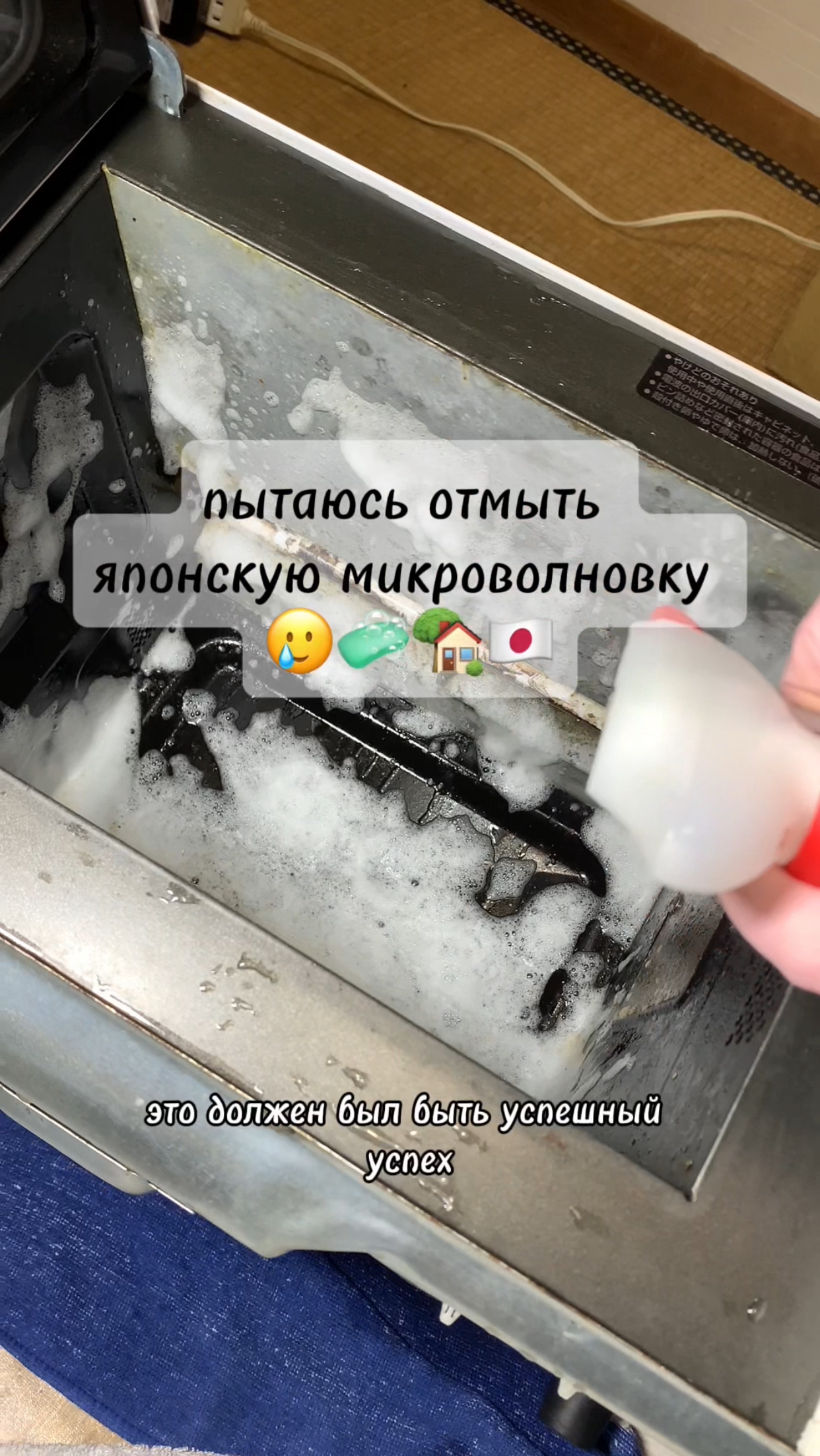 Пытаемся отмыть микроволновку