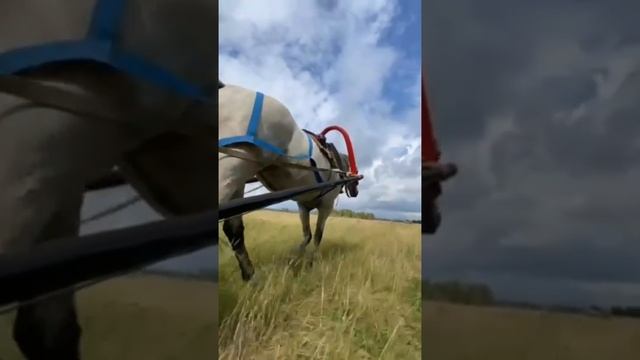 lv_0_20230902193449.mp4.mp4
