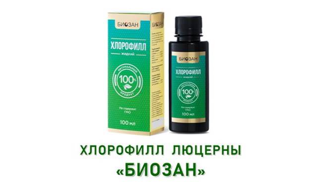 ХЛОРОФИЛ. Презентация за 4 мин