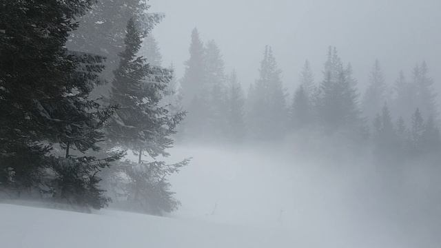 Метель