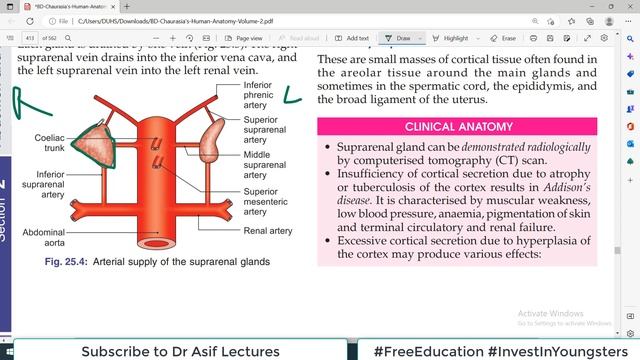 Chp25 | Anatomy of SUPRA RENAL / ADRENAL Glands & CHROMAFFIN System | Dr Asif Lectures