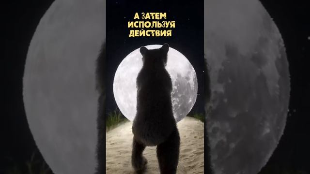 Как сбываются мечты