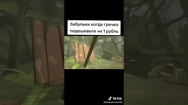 типичные бабушки когда гречка подешевела на 1 рубль