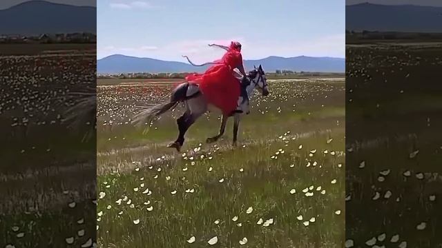 Видео от Елены Бурятии-1.mp4