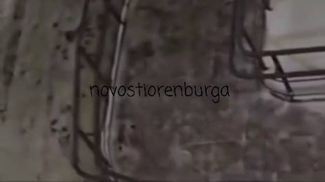 В Степном Оренбурга бегают крысы под машинами