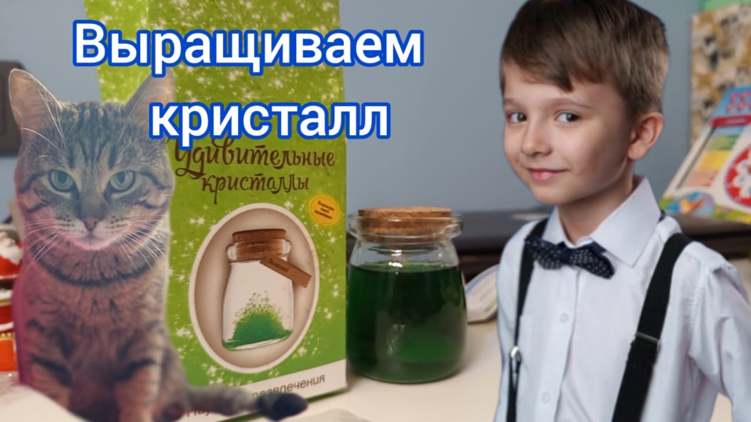 Выращиваем кристалл в баночке