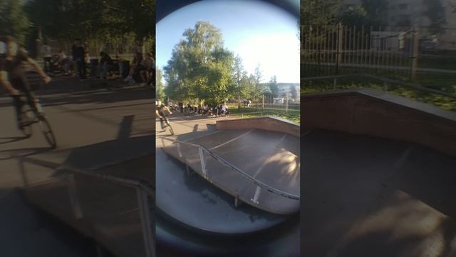 Лютый нолли