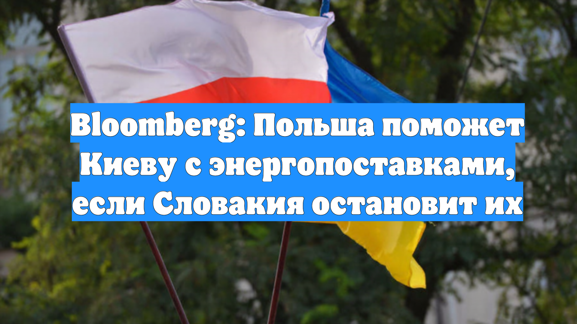 Bloomberg: Польша поможет Киеву с энергопоставками, если Словакия остановит их