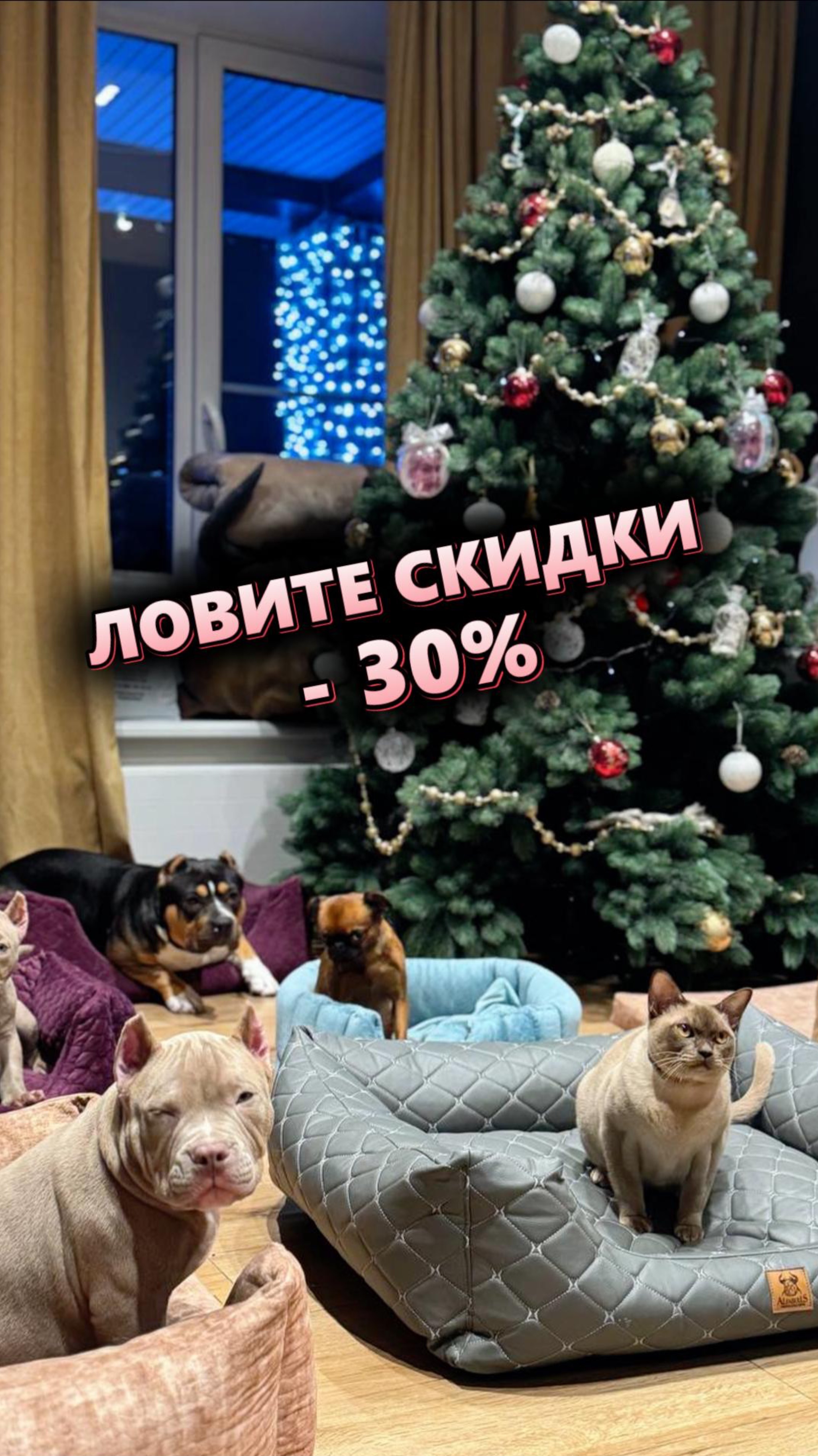 😺 Пора побаловать свою кошечку! 30%-ая скидка на корм премиум качества 🤩