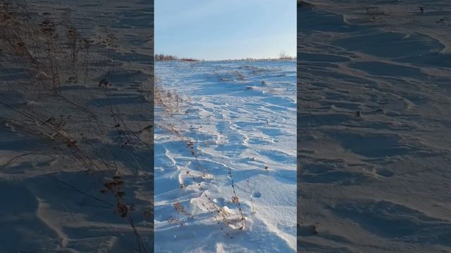 По снежному морю на снегоходе. Алтай.