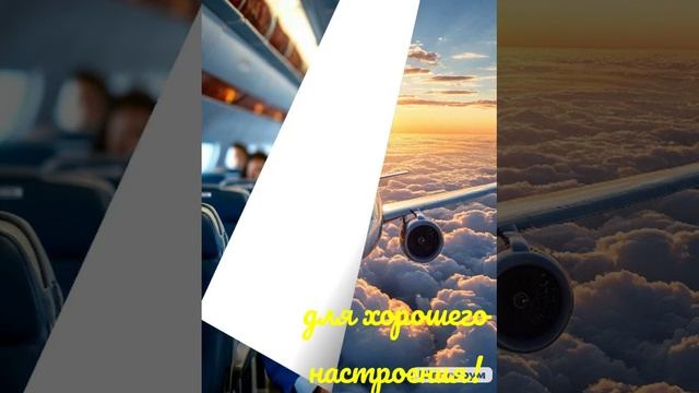 video20241212_144223.mp4