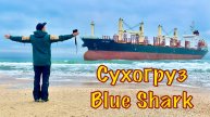 Специальный выпуск. Анапа, Витязево, сухогруз Blue Shark
