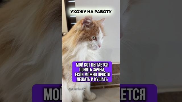 Ухожу на работу