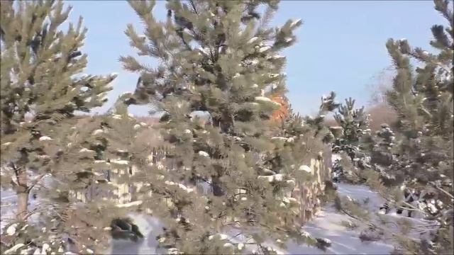 Зимняя Бабка - Ёжка. Автор видео Елена Цыганова. 09.12.22г. г.Ачинск Автор видео Елена Цыганова.