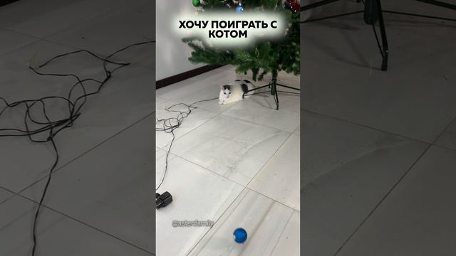 Хочу поиграть с котом