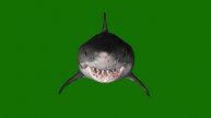 3D animated Shark Jaws III Green Screen