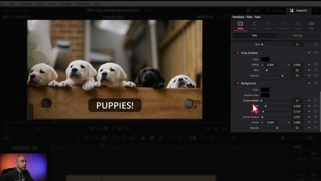 Add Text Background Fast in DaVinci Resolve   Quick Tip Tuesday!