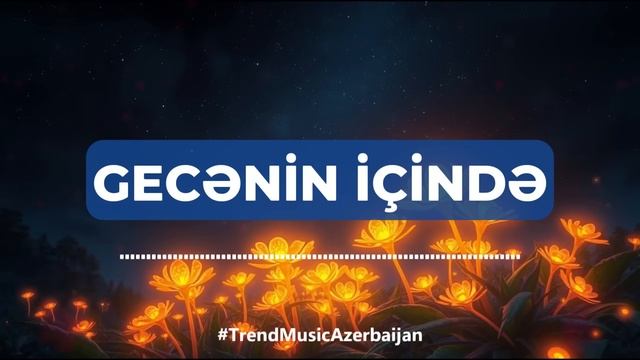 TREND MAHNILAR 2025 ｜ AZERBAIJANI MUSIC HITS 2024 VOL.1