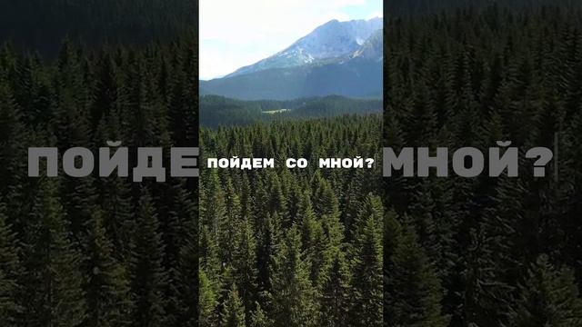 Алтай: природа, от которой захватывает дух! Выпуск уже на канале 🥹