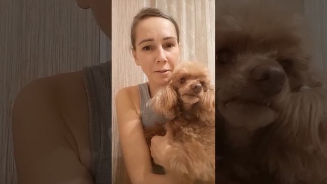 Подозреваемый задержан, следствие ведётся