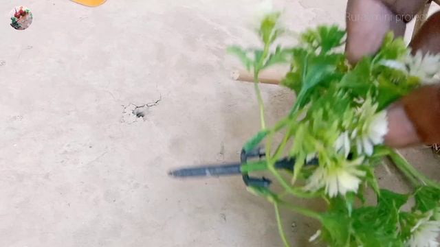 Diy how to make cow shed | house of animals | mini diesel engine water pump