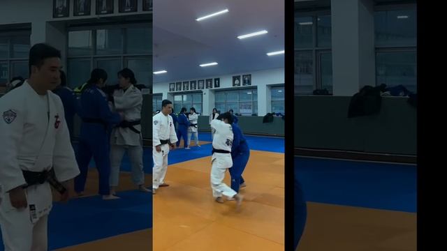 Reverse seoi-nage