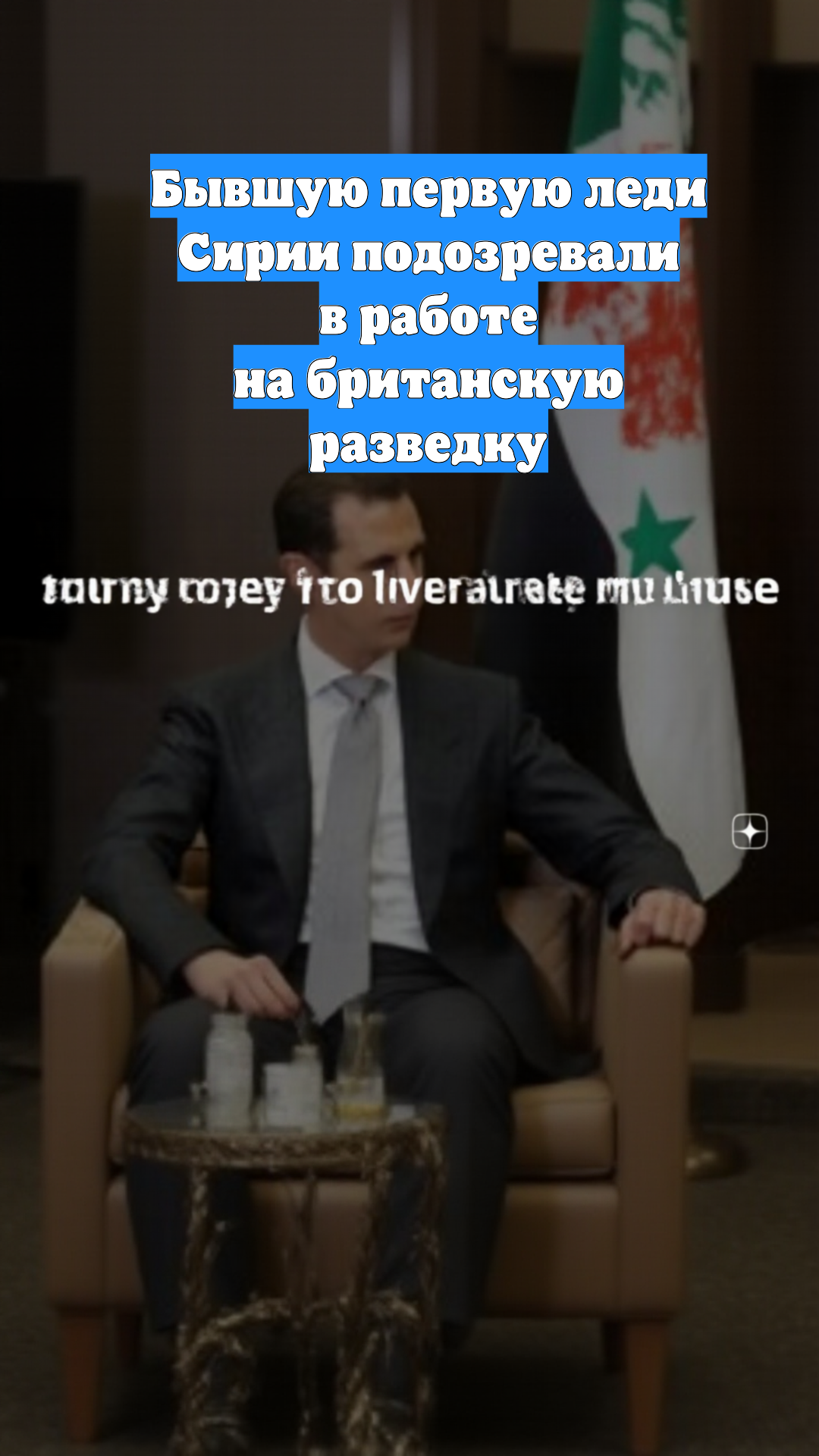 Бывшую первую леди Сирии подозревали в работе на британскую разведку
