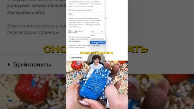 ОБЗОР ELEMENTOR: ЛУЧШИЙ КОНСТРУКТОР ДЛЯ WORDPRESS | КАК СОЗДАТЬ САЙТ БЕЗ КОДА?