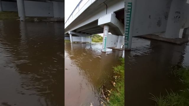 Обзор на р. Есауловку из под моста