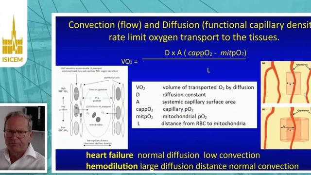 Shock the tissue red blood cell perfusion Can  Ince (ISICEM 2020)