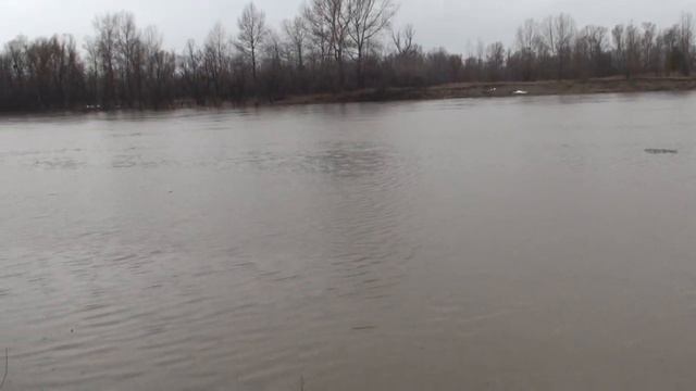 Протока _бобровская_ уровень воды 400см. 9.04.24.