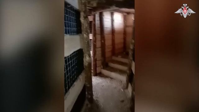 🇷🇺 💪⚡Триколор над освобожденным Шевченко в ДНР⚡