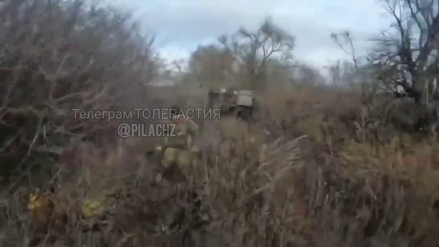 1000125559.mp4