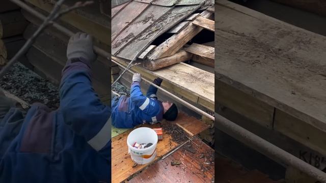 21 ноября 2024 г.