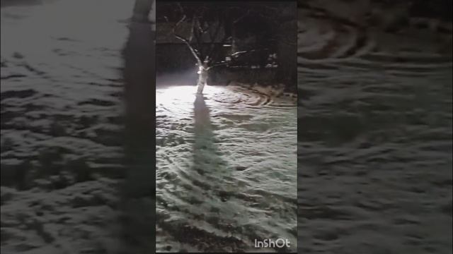 мото топчик